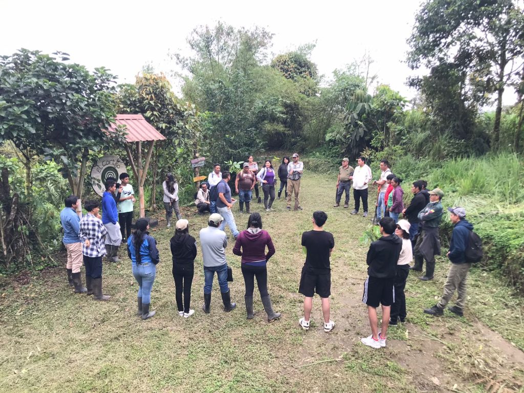 Die Workshopteilnehmenden stehen auf einer Wiese im Wald im Kreis.