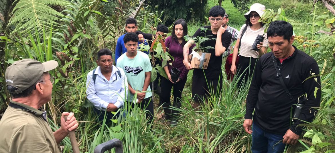 Die Workshopgruppe steht im steilen Gelände m Wald und hört dem Vortragenden zu.