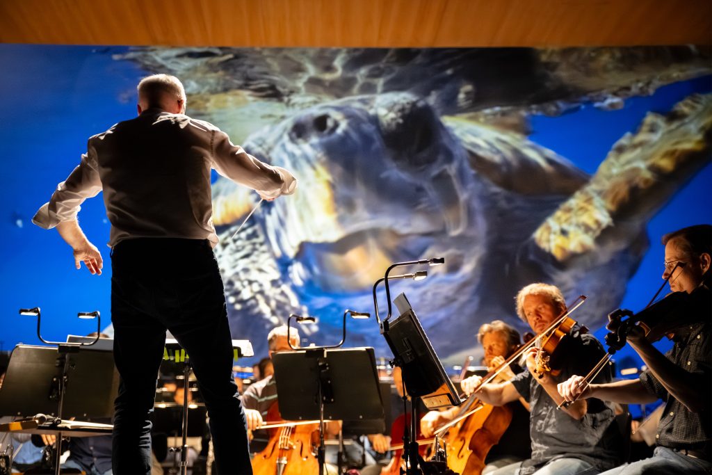 Der Dirigent der badischen Staatskapelle ist von hinten zu sehen. Er dirigiert Streicher. Die Kapelle sitzt auf einer Bühne auf dessen Hintergrund eine Leinwand zu sehen ist. Eine schwimmende Schildkröte ist darauf zu erkennen.